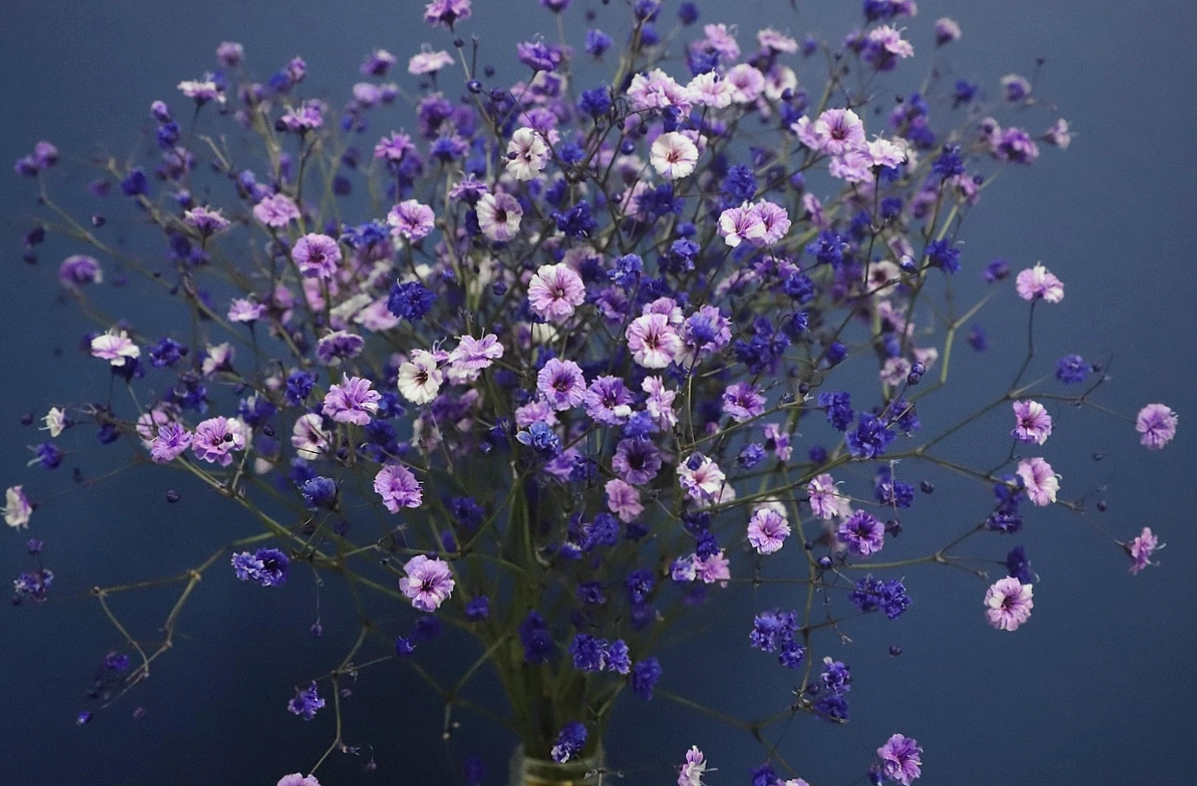 Weekly subscription bunch in a hallway vase