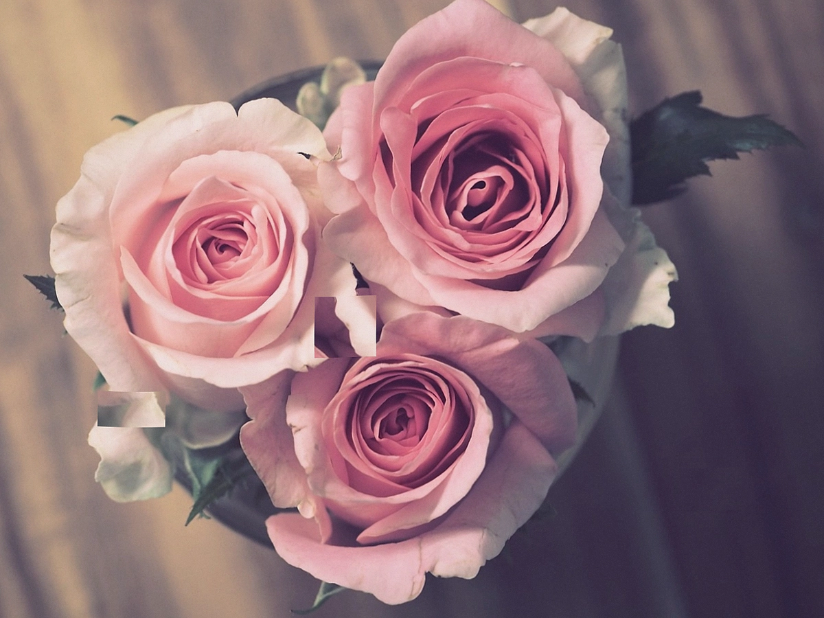 Tom Reedy, florist