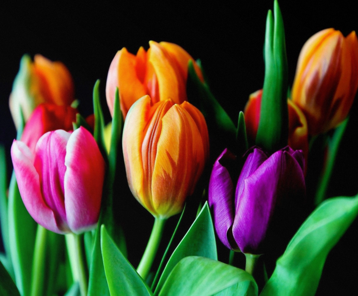 Mia Callahan, owner and lead florist