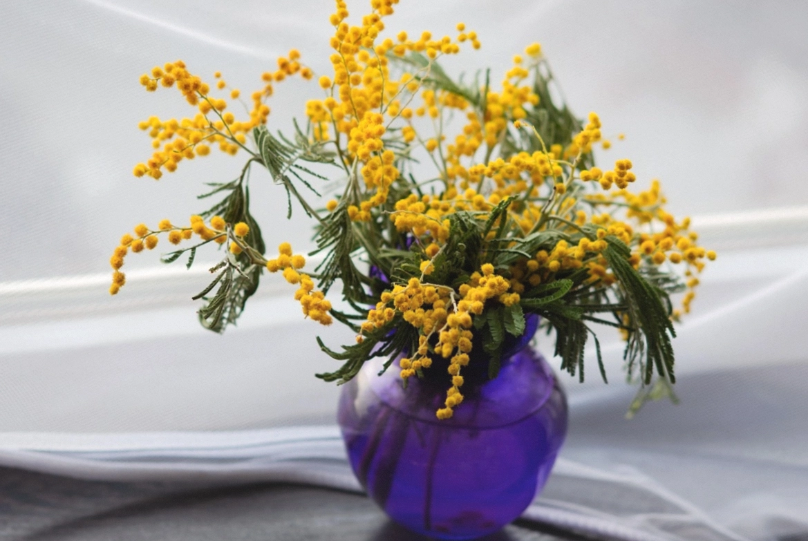 The flower wall — buckets of stems sorted by colour